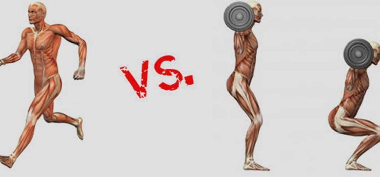 Cardio vs Weight Training | Which one should you choose