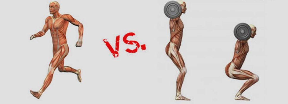 Cardio vs Weight Training | Which one should you choose